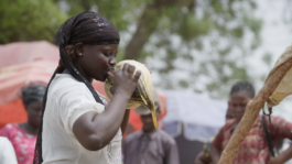 Martin Langhof | Film und Videoeditor