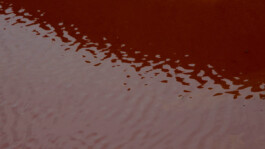 Martin Langhof | Film und Videoeditor