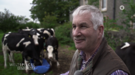 Martin Langhof | Film und Videoeditor