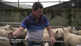 Martin Langhof | Film und Videoeditor