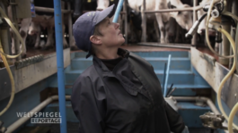 Martin Langhof | Film und Videoeditor